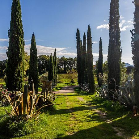 Agriturismo Bio Fattoria Casetta Gavorrano Exteriér fotografie