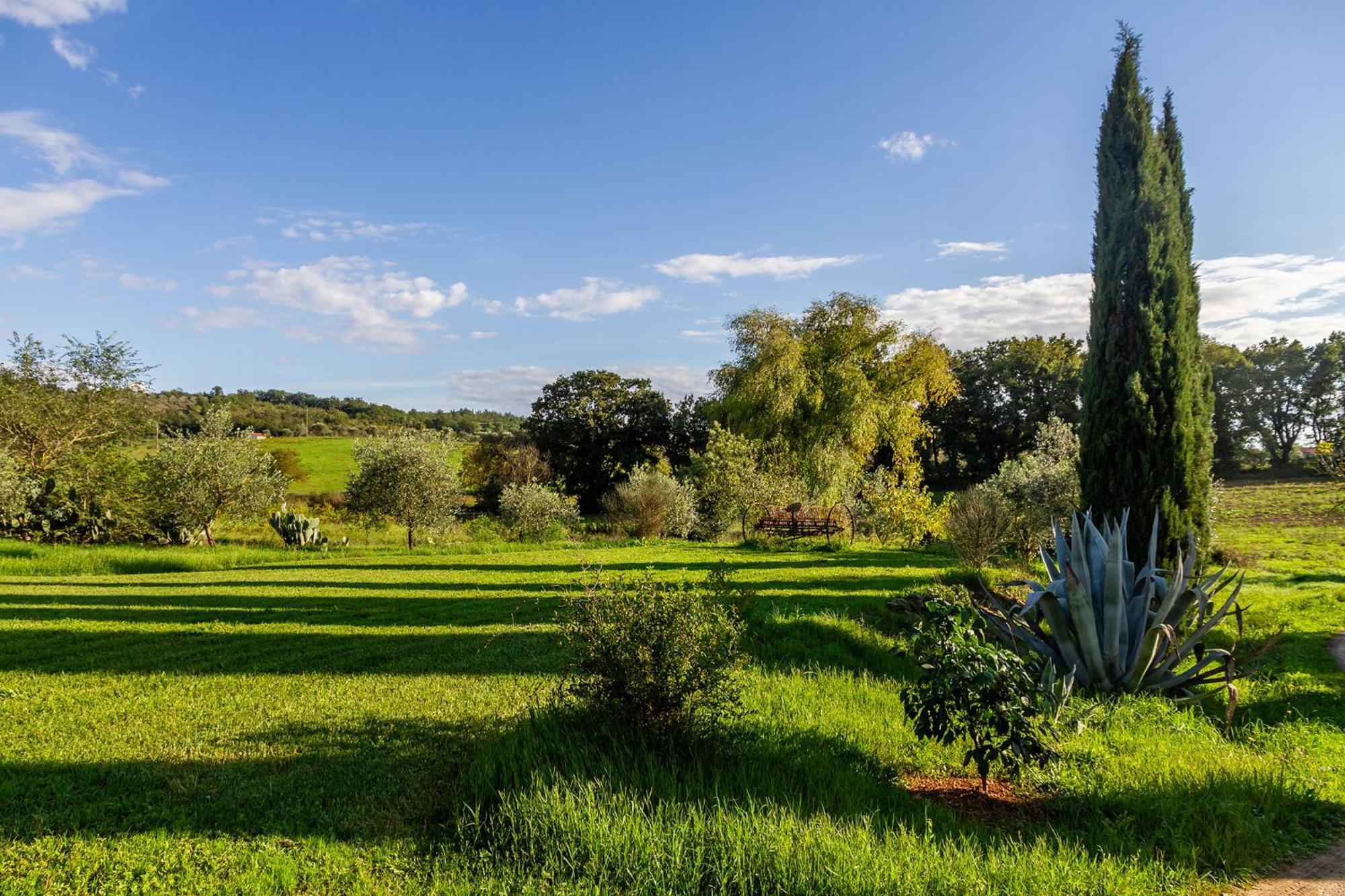 Agriturismo Bio Fattoria Casetta Gavorrano Exteriér fotografie