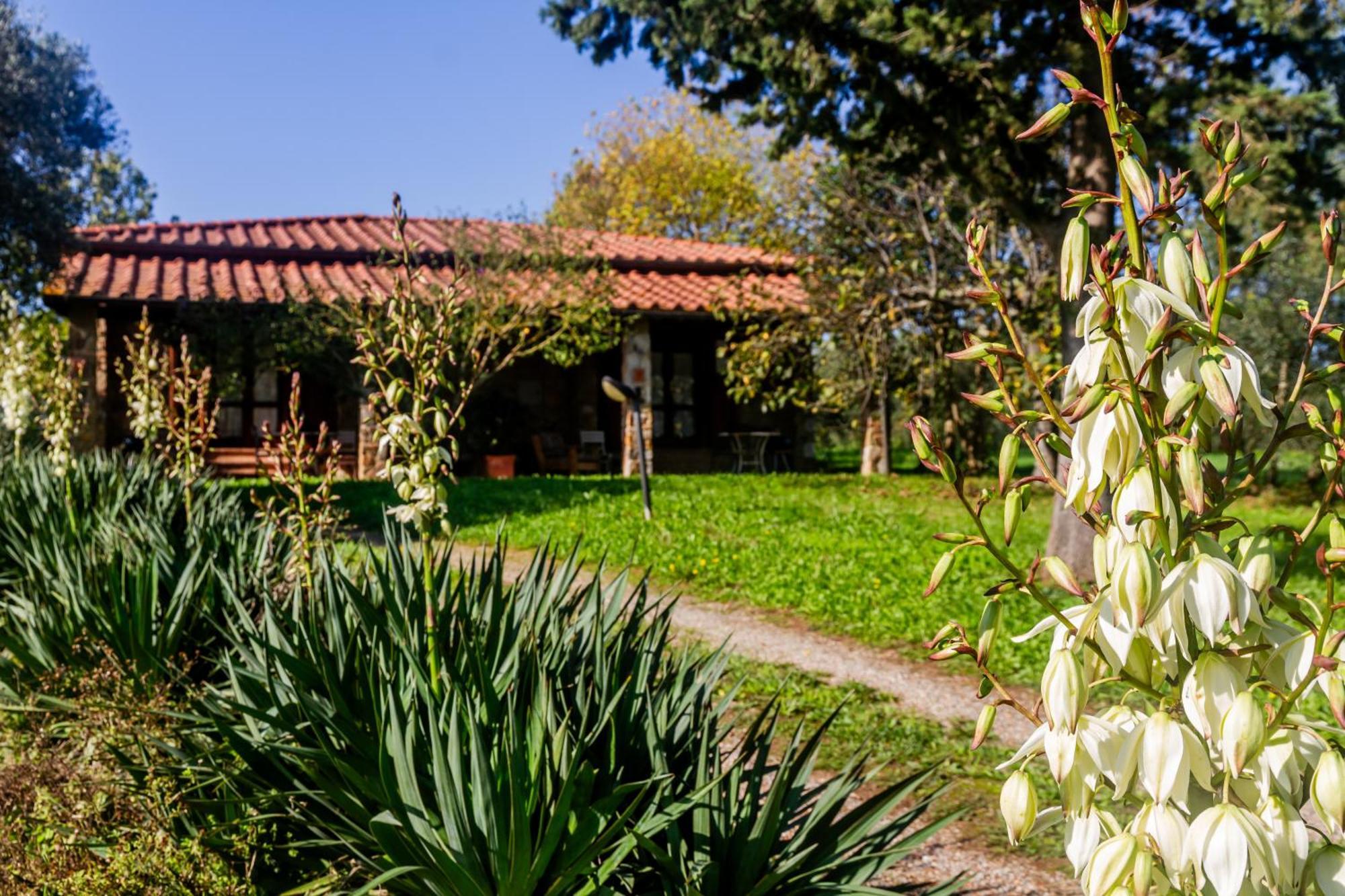 Agriturismo Bio Fattoria Casetta Gavorrano Exteriér fotografie