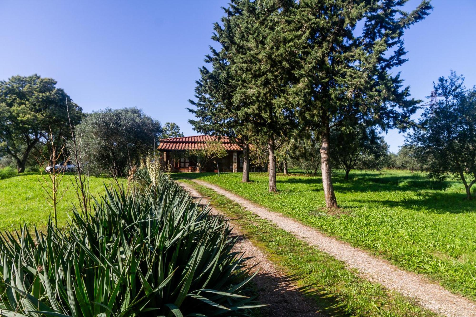 Agriturismo Bio Fattoria Casetta Gavorrano Exteriér fotografie